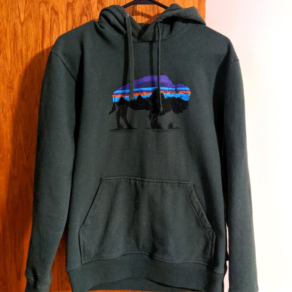 Patagonia Hoodie